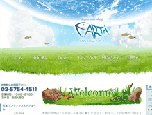 Tablet Screenshot of earth-y2011.com